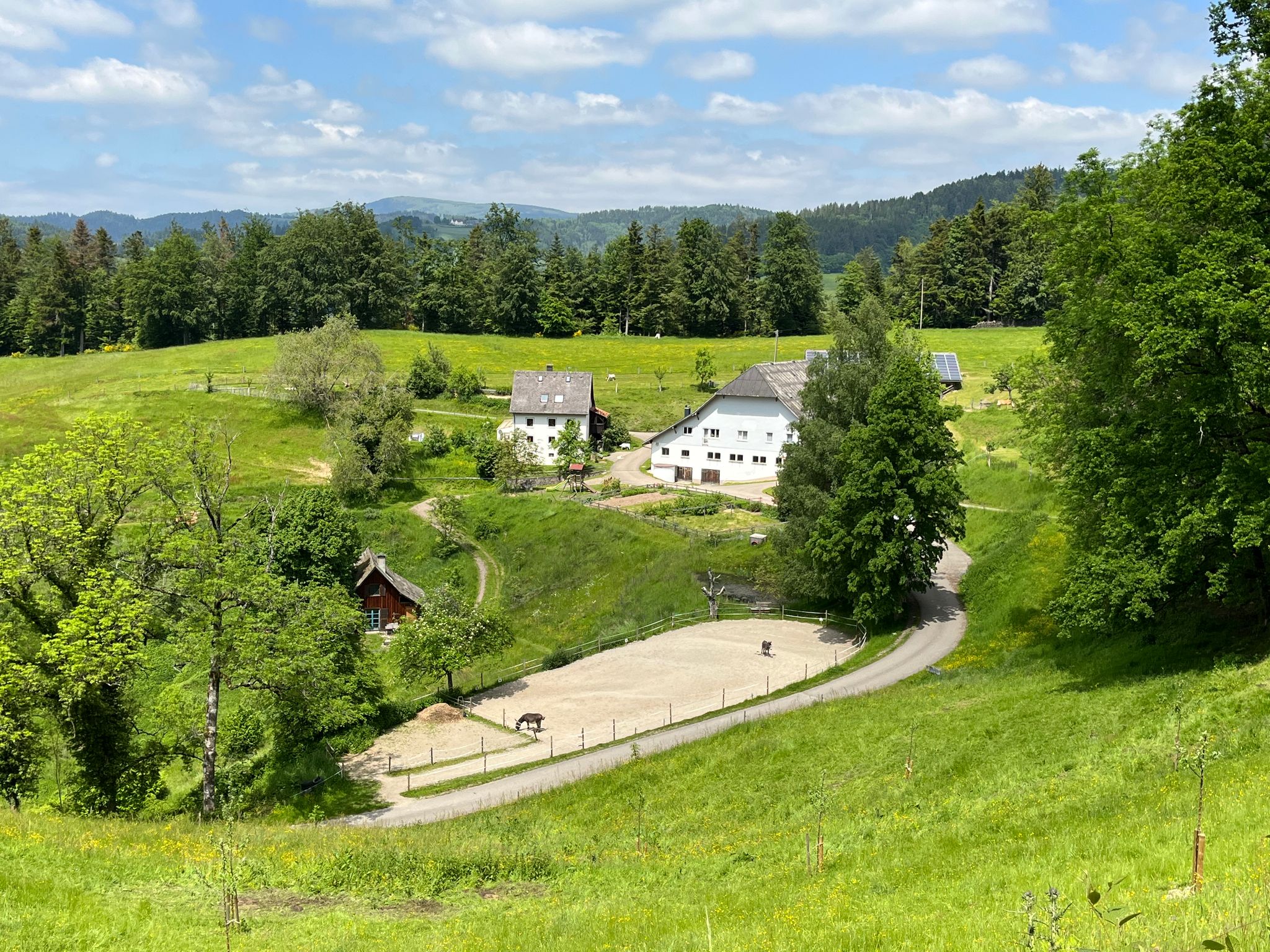 Der Häuslemaierhof – Bauernhof mit Pferdehof