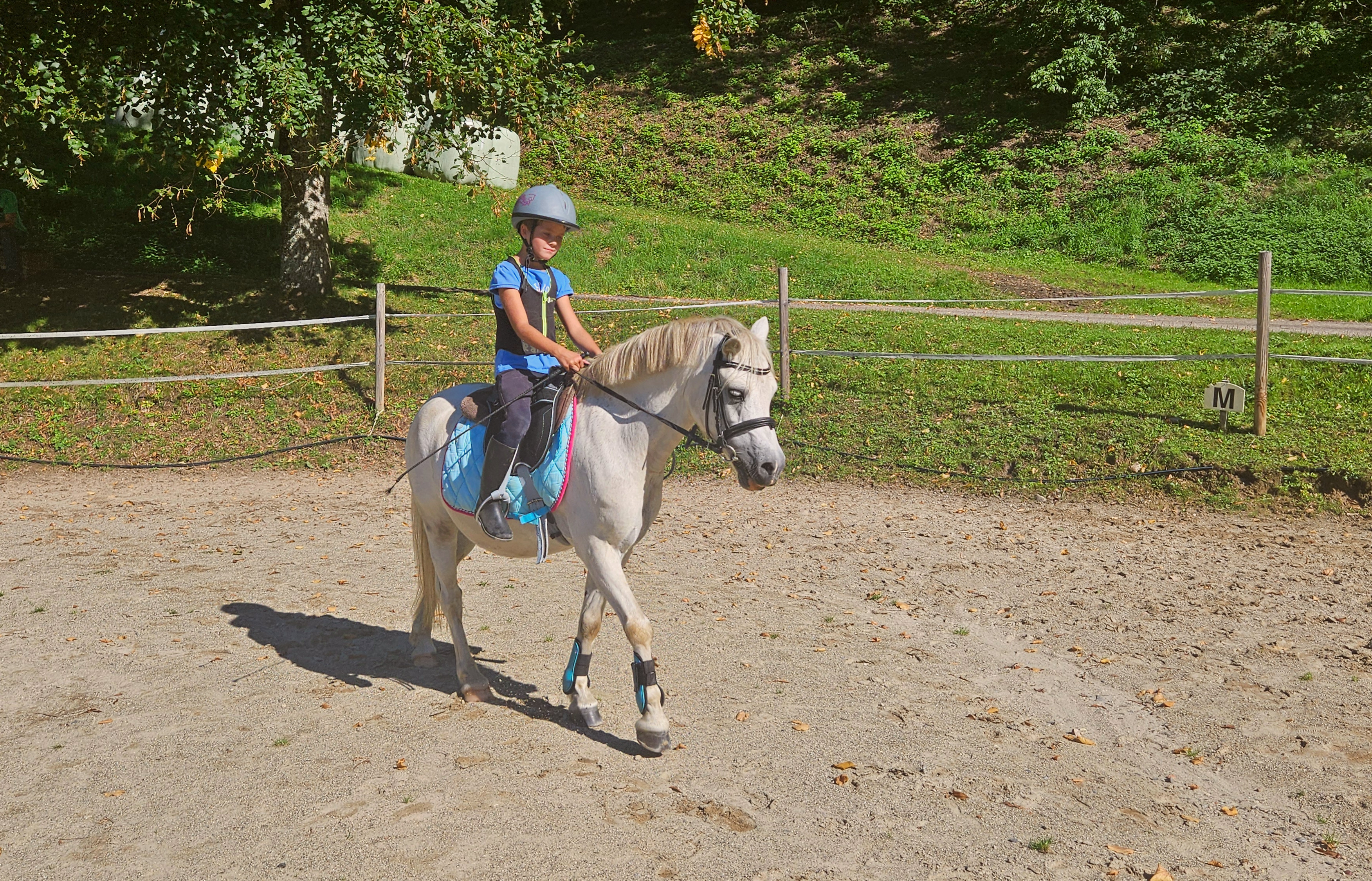 Reitunterricht auf Jimmy